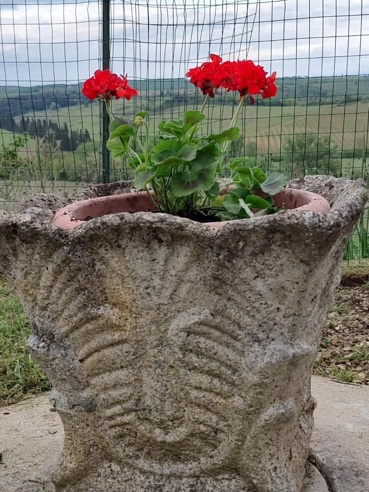 Appartamento Il Giardino Del Chianti Siena Esterno foto