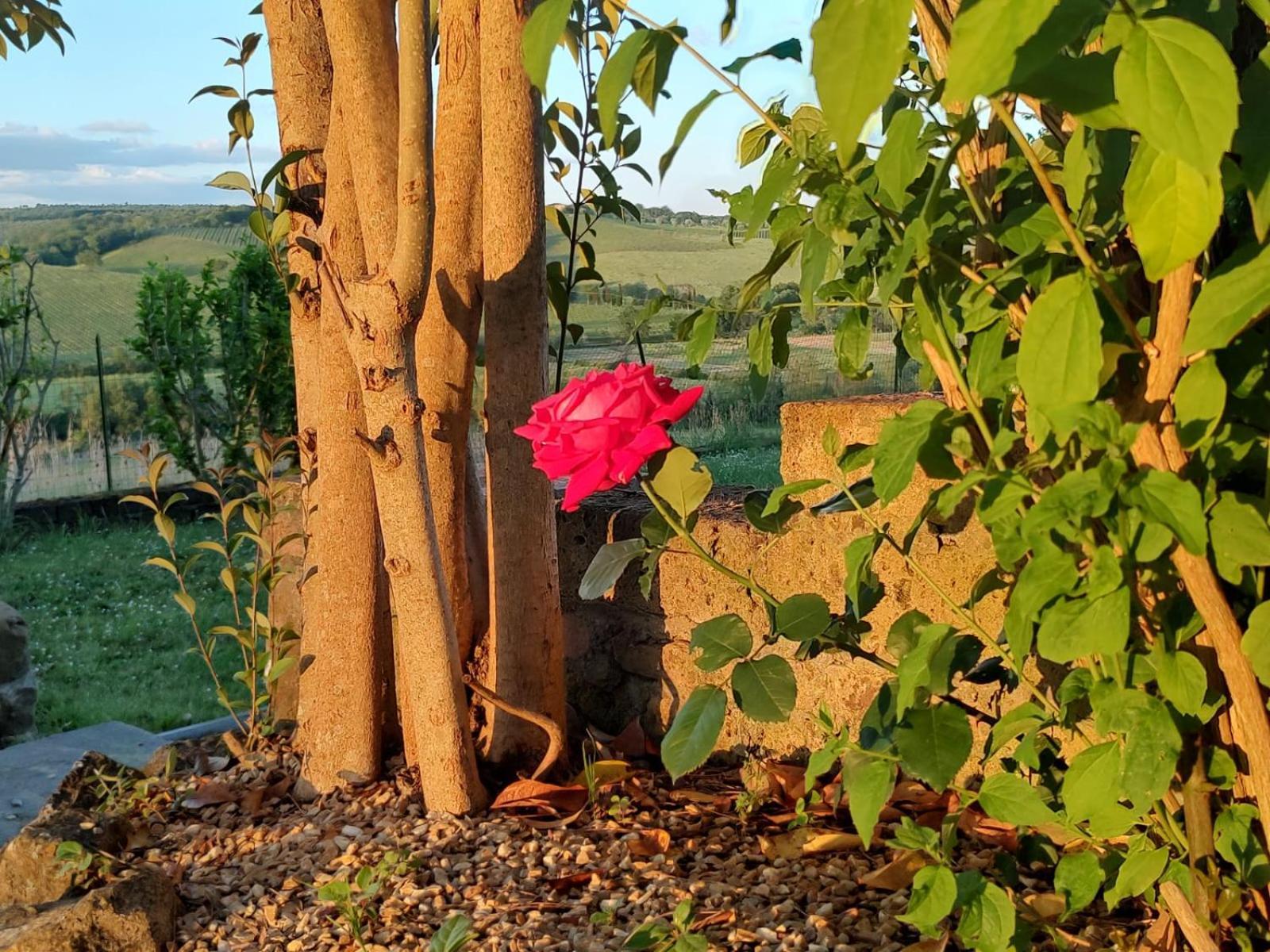 Appartamento Il Giardino Del Chianti Siena Esterno foto