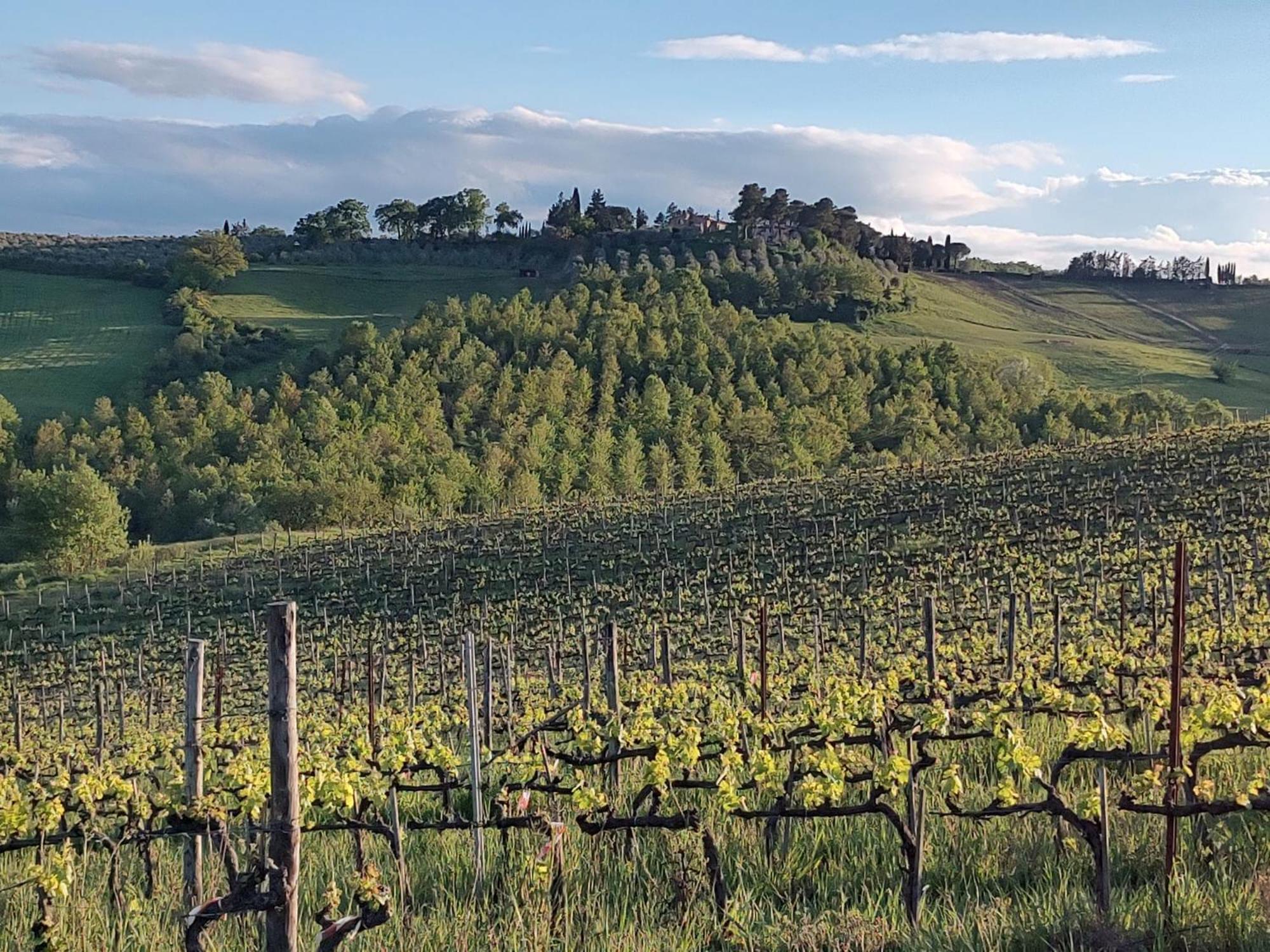 Appartamento Il Giardino Del Chianti Siena Esterno foto